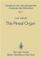 L Vollrath, L. Vollrath - The Pineal Organ
