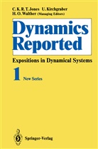 C. K. R. T. Jones, U. Kirchgraber, H. O. Walther - Dynamics Reported