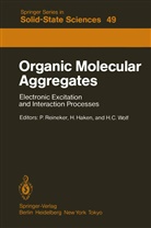 H C Wolf, H. Haken, Herman Haken, Hermann Haken, P. Reineker, Peter Reineker... - Organic Molecular Aggregates