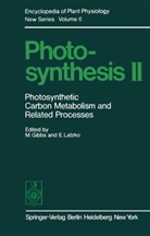 Gibbs, M Gibbs, M. Gibbs, Latzko, Latzko, E. Latzko - Photosynthesis II