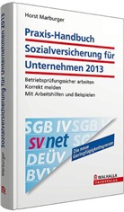 Horst Marburger - Praxis-Handbuch Sozialversicherung für Unternehmen 2013 inkl. E-Book