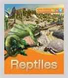 Claire Llewellyn, Llewellyn Claire, Peter Bull - Us Explorers Reptiles