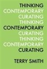 Dr Terry Smith, Terry Smith, Terry/ Fowle Smith - Thinking Contemporary Curating