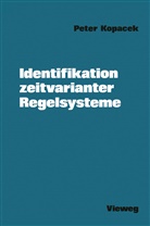 Peter Kopacek - Identifikation zeitvarianter Regelsysteme