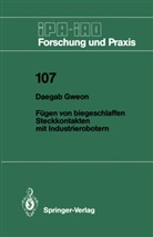 Daegab Gweon - Fügen von biegeschlaffen Steckkontakten mit Industrierobotern