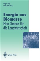 Holge Flaig, Holger Flaig, Mohr, Mohr, Hans Mohr - Energie aus Biomasse