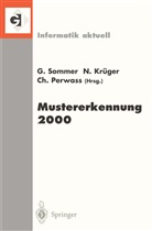 Norber Krüger, Norbert Krüger, Christian Perwass, Gerald Sommer - Mustererkennung 2000