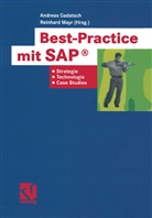 Andrea Gadatsch, Andreas Gadatsch, Mayr, Mayr, Reinhard Mayr - Best-Practice mit SAP®