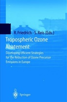 Raine Friedrich, Rainer Friedrich, Reis, Reis, Stefan Reis - Tropospheric Ozone Abatement