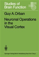 G A Orban, G. A. Orban, G.A. Orban, Guy A Orban, Guy A. Orban - Neuronal Operations in the Visual Cortex