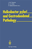 Peter Malfertheiner, Jose M. Pajares, A. Salvador Pena, A.Salvador Pena, Salvador Pena, A Salvador Pena - Helicobacter pylori and Gastroduodenal Pathology