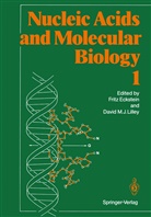Frit Eckstein, Fritz Eckstein, David M J Lilley, David M. J. Lilley, Fritz Eckstein, David M. J. Lilley - Nucleic Acids and Molecular Biology