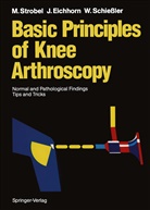 Heinz - Jürgen Eichhorn, Heinz-Jürgen Eichhorn, Jürge Eichhorn, Jürgen Eichhorn, Wilf Schiessler, Wilfried Schießler... - Basic Principles of Knee Arthroscopy