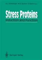 Gabriella Santoro, M Gabriella Santoro, Enrico Garaci, M. Gabriella Santoro, Milton J. Schlesinger - Stress Proteins