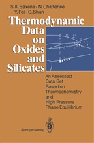 Nilanja Chatterjee, Nilanjan Chatterjee, Yingw Fei, Yingwei Fei, Surendra Saxena, Surendra K Saxena... - Thermodynamic Data on Oxides and Silicates