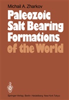 M a Zharkov, M. A. Zharkov, M.A. Zharkov, L Yanshin, A L Yanshin, A. L. Yanshin... - Paleozoic Salt Bearing Formations of the World