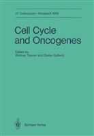 Gallwitz, Gallwitz, Dieter Gallwitz, Widma Tanner, Widmar Tanner - Cell Cycle and Oncogenes