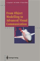 Sabine Coquillart, Wolfgan Strasser, Wolfgang Straßer, Peter Stucki - From Object Modelling to Advanced Visual Communication