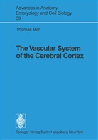 Thomas Bär - The Vascular System of the Cerebral Cortex