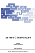 W. Richard Peltier, Wm. Richard Peltier, Richard Peltier, W Richard Peltier - Ice in the Climate System