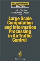 Luci Bianco, Lucio Bianco, Amedeo R. Odoni, R Odoni, R Odoni - Large Scale Computation and Information Processing in Air Traffic Control