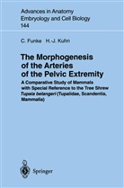 Caroli Funke, Carolin Funke, Hans-Jörg Kuhn - The Morphogenesis of the Arteries of the Pelvic Extremity