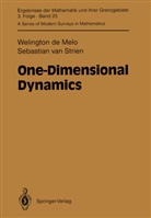 Welington d Melo, Welington De Melo, Sebastian Van Strien - One-Dimensional Dynamics