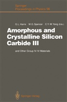 Michae G Spencer, Michael G Spencer, Gary L. Harris, Michael Spencer, Michael G. Spencer, Cary Y -W Yang... - Amorphous and Crystalline Silicon Carbide III