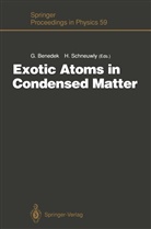 Giorgi Benedek, Giorgio Benedek, SCHNEUWLY, Schneuwly, Hubert Schneuwly - Exotic Atoms in Condensed Matter