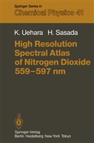 H Sasada, H. Sasada, Uehara, K Uehara, K. Uehara - High Resolution Spectral Atlas of Nitrogen Dioxide 559-597 nm
