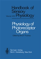 Michelangelo G. F. Fuortes, Michelangelo G.F. Fuortes, Michelangel G F Fuortes, Michelangelo G F Fuortes - Handbook of Sensory Physiology - 7 / 2: Physiology of Photoreceptor Organs