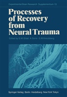 Gad M. Gilad, Alfred Gorio, Alfredo Gorio, G. W. Kreutzberg, G.W. Kreutzberg, G W Kreutzberg - Processes of Recovery from Neural Trauma