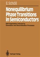 Eckehard Schöll - Nonequilibrium Phase Transitions in Semiconductors
