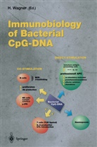 Wagner, H Wagner, H. Wagner - Immunobiology of Bacterial CpG-DNA