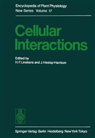 F Linskens, H F Linskens, Heslop-Harrison, Heslop-Harrison, J. Heslop-Harrison, H. F. Linskens... - Cellular Interactions