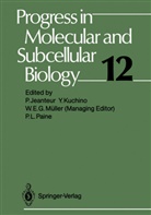 Philippe Jeanteur, Philippe Jeanteur, Yoshiyuki Kuchino, Werner E. G. Müller, Philip L. Paine - Progress in Molecular and Subcellular Biology