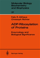 Felix Althaus, Felix R Althaus, Felix R. Althaus, Christoph Richter - ADP-Ribosylation of Proteins