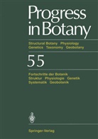 Wolfram Beyschlag, H. -Dietmar Behnke, Karl Esser, Joachim W. Kadereit, Ulrich Lüttge, Michael Runge - Progress in Botany