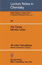 Pet Carsky, Petr Carsky, Miroslav Urban - Ab Initio Calculations