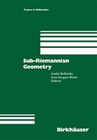 Andr Bellaiche, Andre Bellaiche, Risler, Risler, Jean-Jaques Risler - Sub-Riemannian Geometry