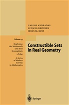 Carlo Andradas, Carlos Andradas, Ludwi Bröcker, Ludwig Bröcker, Jesus M Ruiz, Jesus M. Ruiz - Constructible Sets in Real Geometry