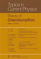 R Smith, J R Smith, J. R. Smith - Theory of Chemisorption