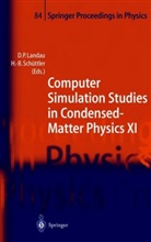 David P. Landau, Davi P Landau, David P Landau, Schüttler, Schüttler, Heinz-Bernd Schüttler - Computer Simulation Studies in Condensed-Matter Physics XI