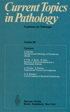Hans- Altmann, Hans-W Altmann, Hans-W. Altmann, Benirschke, Benirschke, Kurt Benirschke - Current Topics in Pathology / Ergebnisse der Pathologie