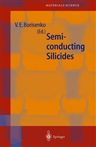 Victor Borisenko, Victor E Borisenko, Victor E. Borisenko - Semiconducting Silicides