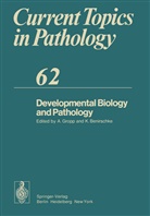 Benirschke, Benirschke, K. Benirschke, Kurt Benirschke, Gropp, A Gropp... - Developmental Biology and Pathology