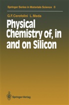 Gianfranco Cerofolini, Gianfranco F Cerofolini, Gianfranco F. Cerofolini, Laura Meda, Hans-Joachi Queisser, Hans-Joachim Queisser - Physical Chemistry of, in and on Silicon