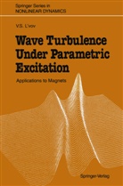 Victor S L'vov, Victor S. L'vov - Wave Turbulence Under Parametric Excitation