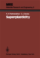G J Davies, G. J. Davies, G.J. Davies, K Ananth Padmanabhan, K Anantha Padmanabhan, K. A. Padmanabhan... - Superplasticity