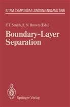 Susan N. Brown, N Brown, N Brown, Frank T. Smith, Fran T Smith, Frank T Smith - Boundary-Layer Separation